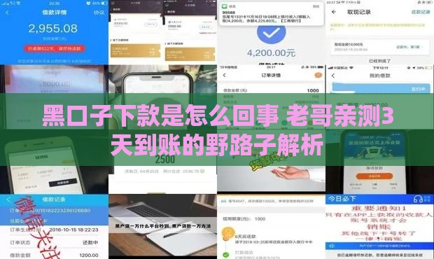 黑口子下款是怎么回事 老哥亲测3天到账的野路子解析