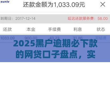 2025黑户逾期必下款的网贷口子盘点，实测秒到账不查征信