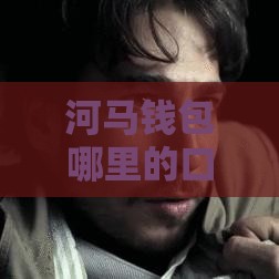 河马钱包哪里的口子最稳 实测5分钟到账不忽悠