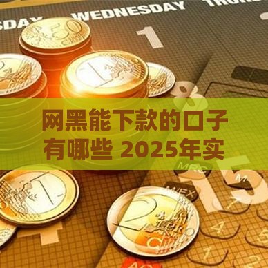 网黑能下款的口子有哪些 2025年实测5个无视征信的贷款神器