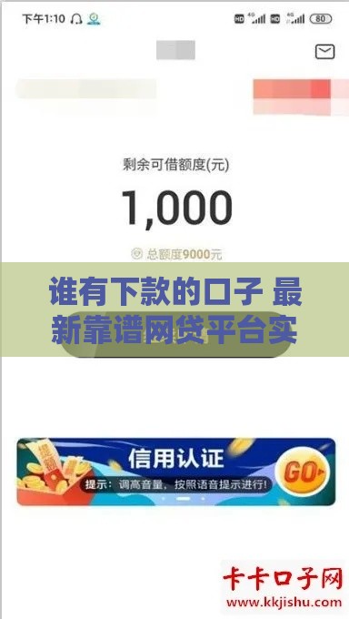 谁有下款的口子 最新靠谱网贷平台实测分享
