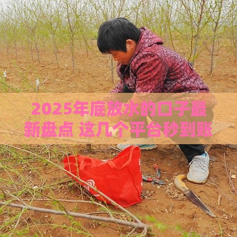 2025年底放水的口子最新盘点 这几个平台秒到账还能免息30天