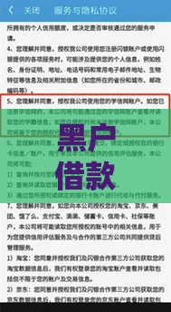 黑户借款的申请条件有哪些？最新实测5秒到账攻略