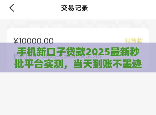 手机新口子贷款2025最新秒批平台实测，当天到账不墨迹