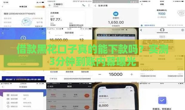 借款黑花口子真的能下款吗？实测3分钟到账内幕曝光