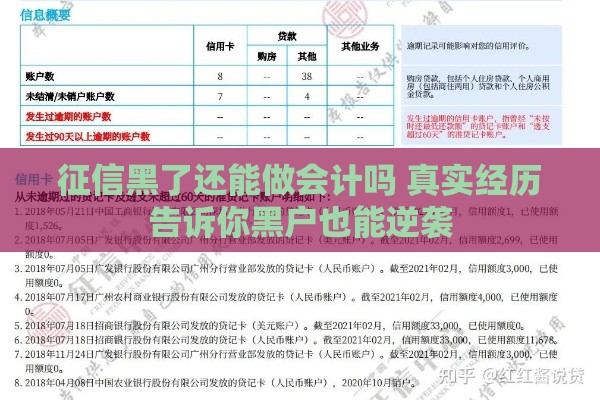 征信黑了还能做会计吗 真实经历告诉你黑户也能逆袭