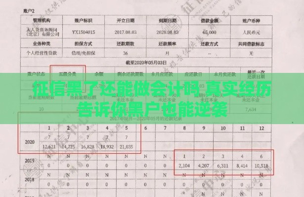 征信黑了还能做会计吗 真实经历告诉你黑户也能逆袭