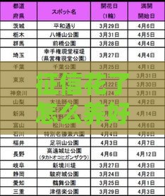 征信花了怎么养好 3个月修复秘籍亲测有效