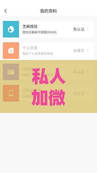 私人加微信借钱3000靠谱吗？老哥亲测这三个口子秒到账