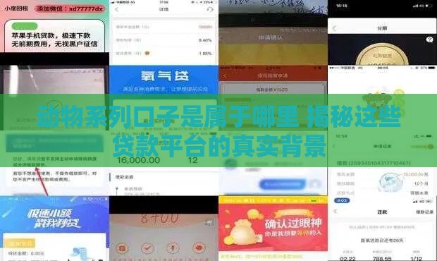 动物系列口子是属于哪里 揭秘这些贷款平台的真实背景