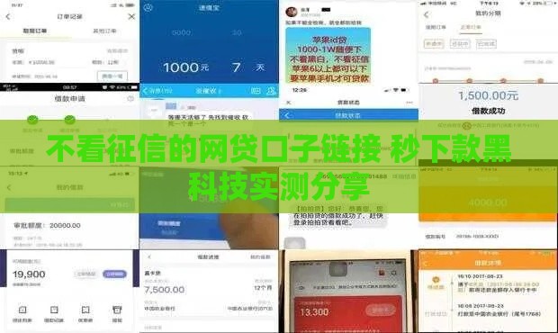 不看征信的网贷口子链接 秒下款黑科技实测分享