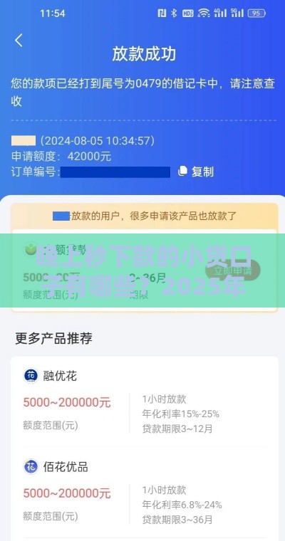 晚上秒下款的小贷口子有哪些？2025年实测5分钟到账攻略