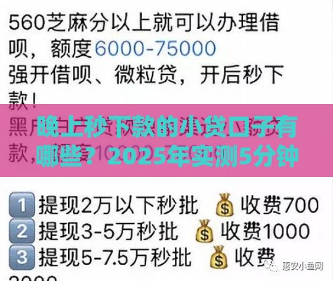晚上秒下款的小贷口子有哪些？2025年实测5分钟到账攻略