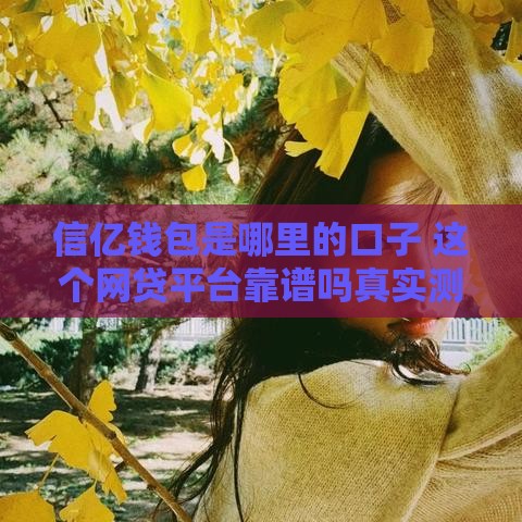 信亿钱包是哪里的口子 这个网贷平台靠谱吗真实测评
