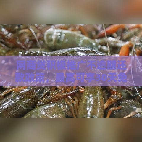 网商贷积极推广不逾期还款政策，最高可享30天免息优惠