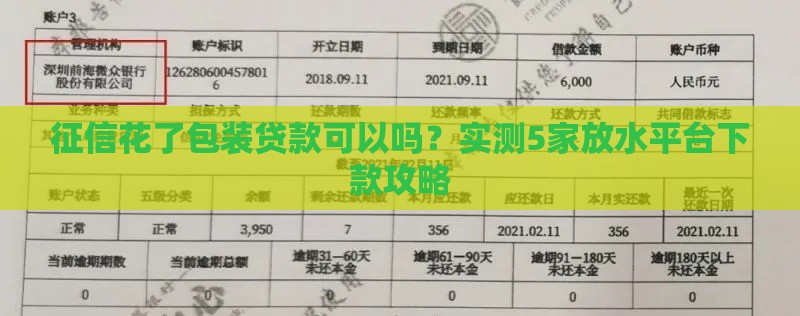 征信花了包装贷款可以吗？实测5家放水平台下款攻略