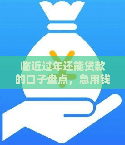 临近过年还能贷款的口子盘点，急用钱老哥速看这几家稳下款