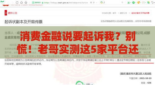 消费金融说要起诉我？别慌！老哥实测这5家平台还能下款