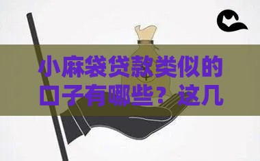 小麻袋贷款类似的口子有哪些？这几个秒下款平台真绝了