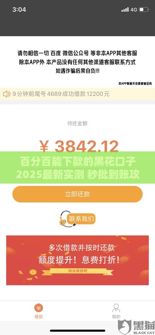 百分百能下款的黑花口子2025最新实测 秒批到账攻略分享