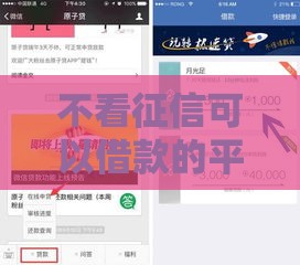 不看征信可以借款的平台叫什么？这5个口子稳下款！