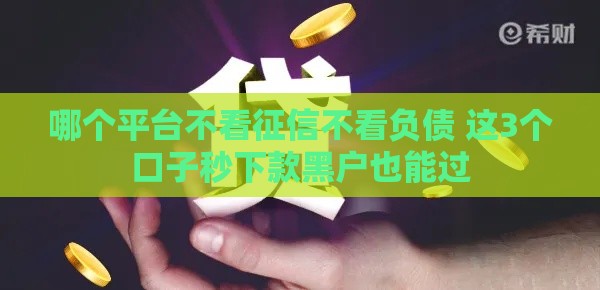 哪个平台不看征信不看负债 这3个口子秒下款黑户也能过