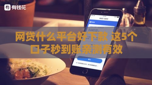 网贷什么平台好下款 这5个口子秒到账亲测有效
