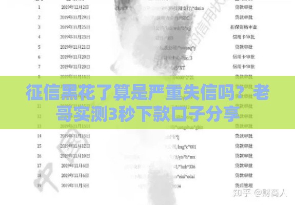 征信黑花了算是严重失信吗？老哥实测3秒下款口子分享