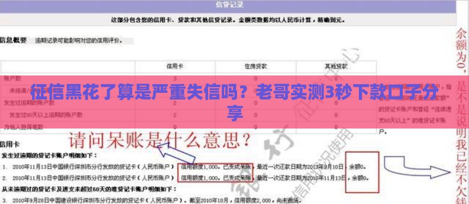 征信黑花了算是严重失信吗？老哥实测3秒下款口子分享