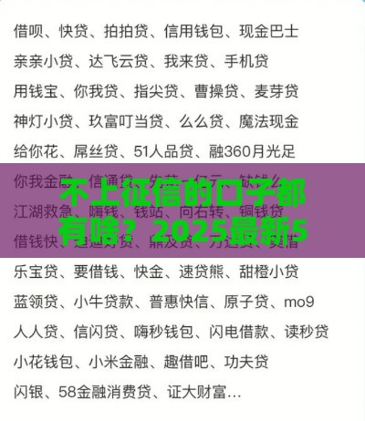 不上征信的口子都有啥？2025最新5个靠谱网贷平台实测
