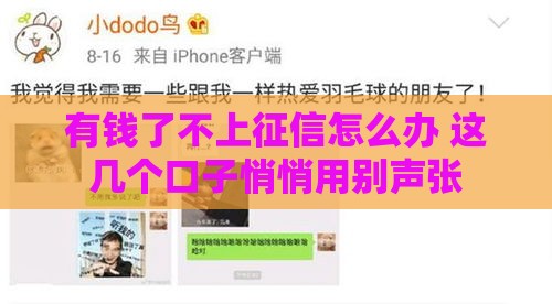 有钱了不上征信怎么办 这几个口子悄悄用别声张