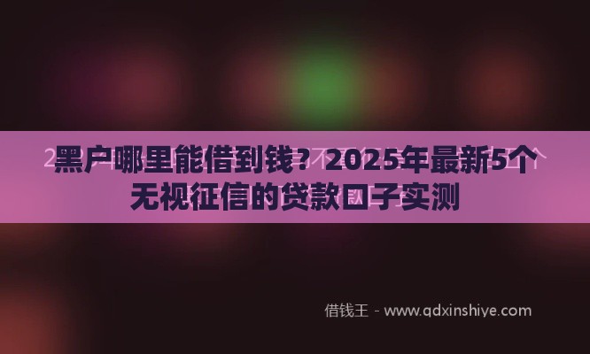 黑户哪里能借到钱？2025年最新5个无视征信的贷款口子实测