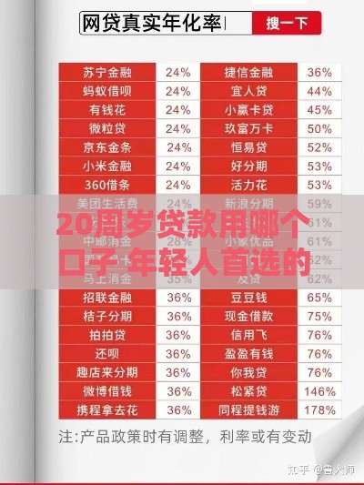20周岁贷款用哪个口子 年轻人首选的5个靠谱网贷平台