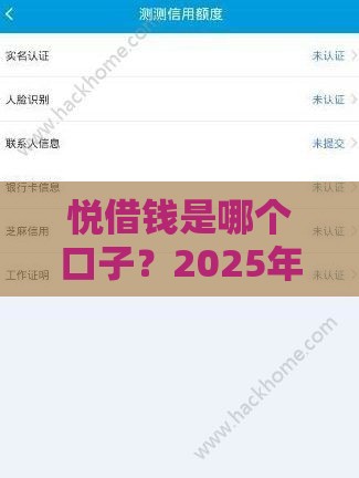 悦借钱是哪个口子？2025年靠谱网贷平台深度解析