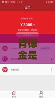 肯德金是哪个口子系列？揭秘这个靠谱网贷平台的真实体验