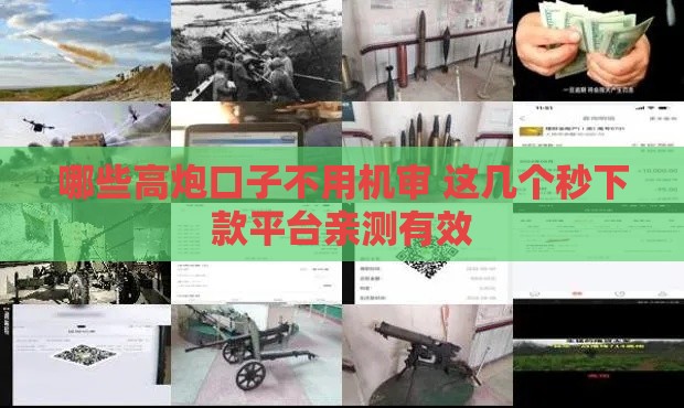 哪些高炮口子不用机审 这几个秒下款平台亲测有效