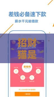 招财猫是哪个系列口子？深度解析招财猫贷款平台