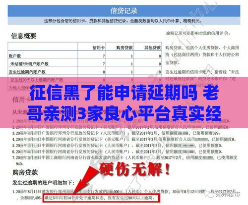 征信黑了能申请延期吗 老哥亲测3家良心平台真实经验