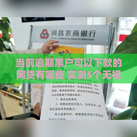 当前逾期黑户可以下款的网贷有哪些 实测5个无视征信秒到账平台