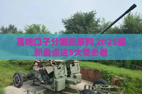 高炮口子分哪些系列 2025最新盘点这5大类必看