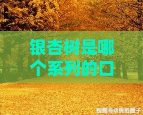 银杏树是哪个系列的口子 揭秘这个隐藏的贷款宝藏