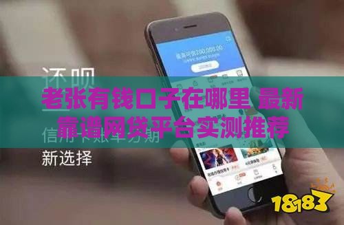 老张有钱口子在哪里 最新靠谱网贷平台实测推荐