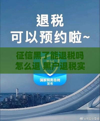 征信黑了能退税吗怎么退 黑户退税实操指南2025最新解读