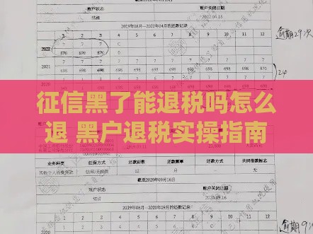 征信黑了能退税吗怎么退 黑户退税实操指南2025最新解读