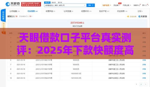 天眼借款口子平台真实测评：2025年下款快额度高的正规渠道