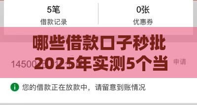 哪些借款口子秒批 2025年实测5个当天到账的良心平台