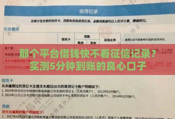 那个平台借钱快不看征信记录？实测5分钟到账的良心口子
