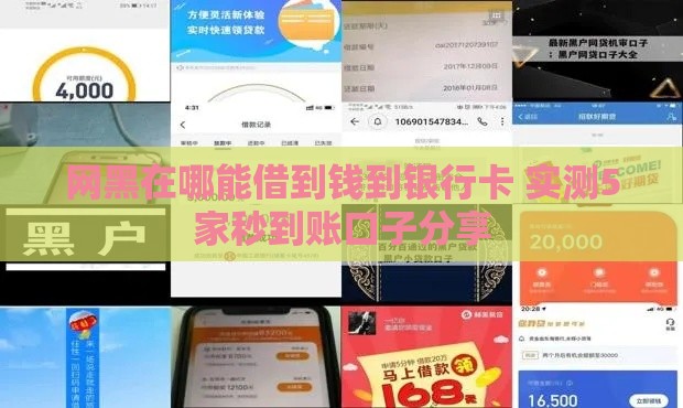 网黑在哪能借到钱到银行卡 实测5家秒到账口子分享