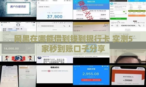 网黑在哪能借到钱到银行卡 实测5家秒到账口子分享