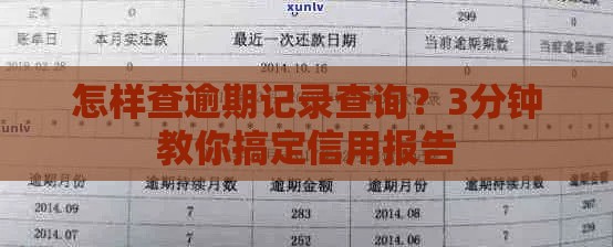 怎样查逾期记录查询？3分钟教你搞定信用报告